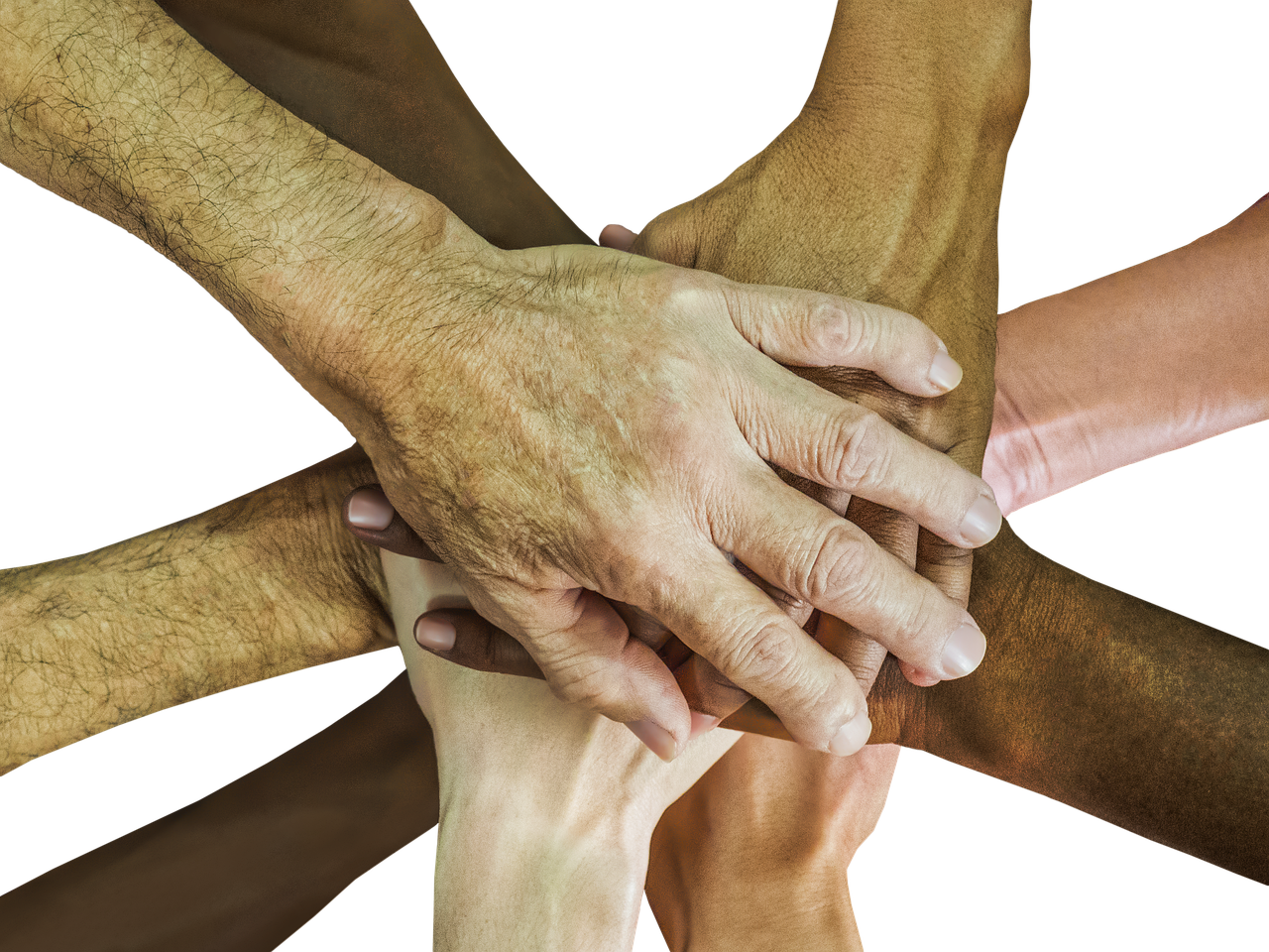 七星柔和(9mg):浙江注册代理记账费