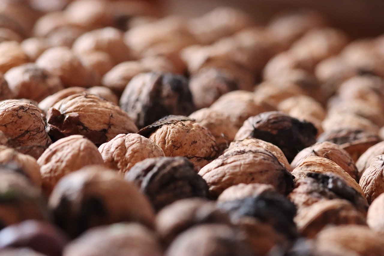 如果没有技术支持，所有游戏都会变成怎样？