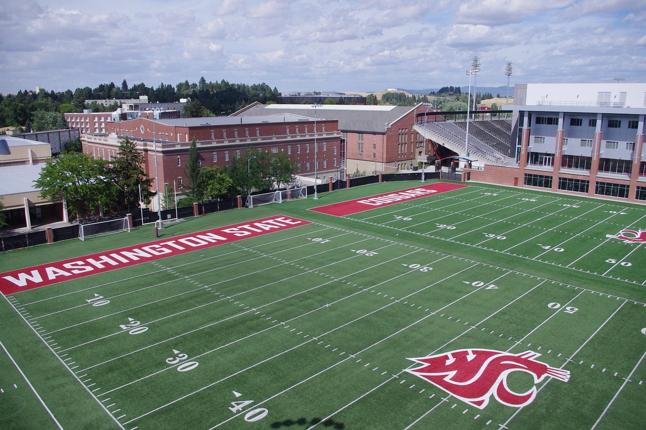 网络黑客技术：黑客入侵网站的常用方法