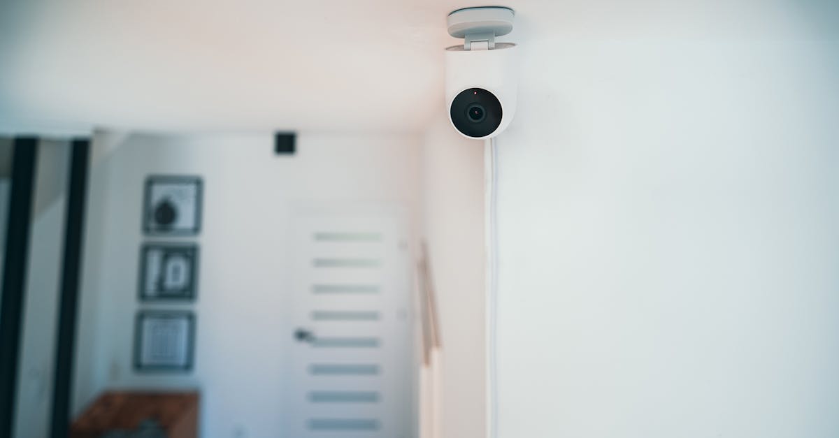 聚名网实名账号：详情下载教程不是苹果的app