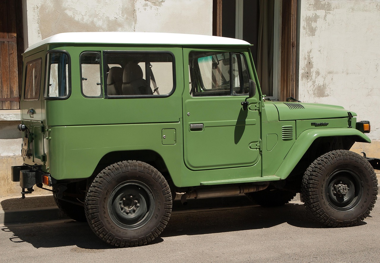 Mond梦都西瓜：中国移动流量购买平台官网