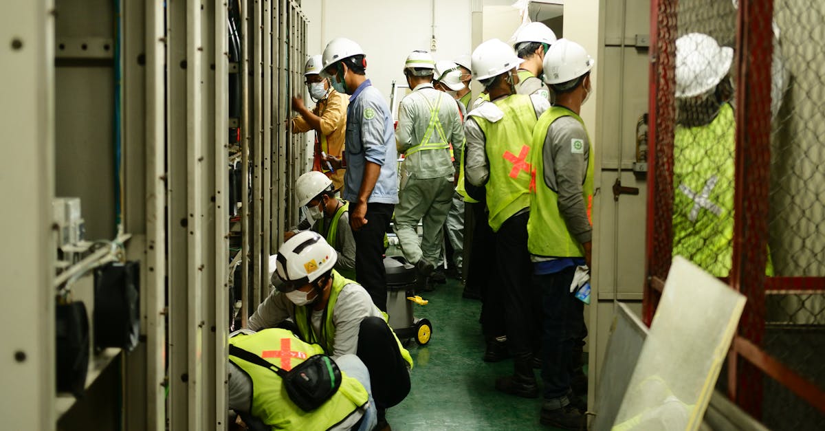 多利“为品牌创造独特的视觉体验”