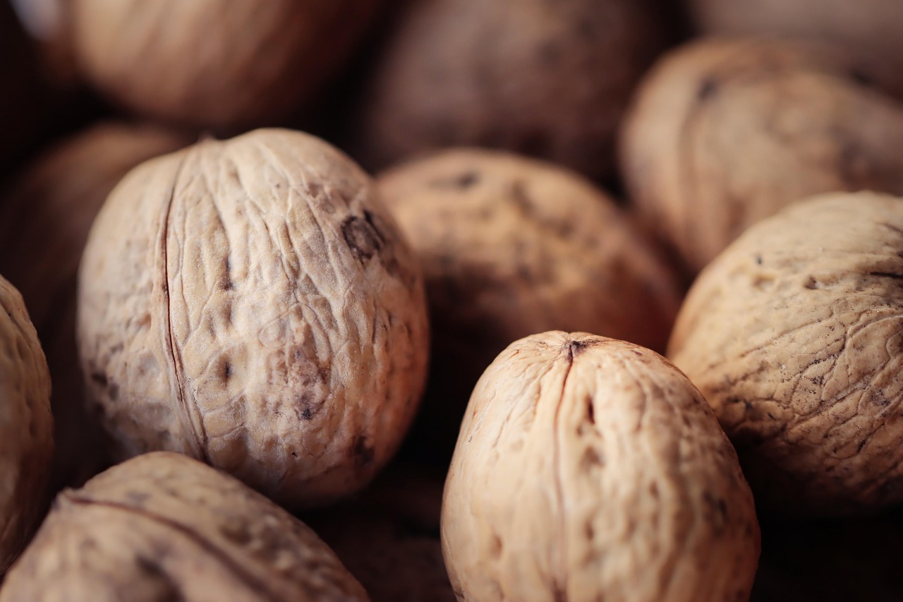 163邮箱批量购买平台