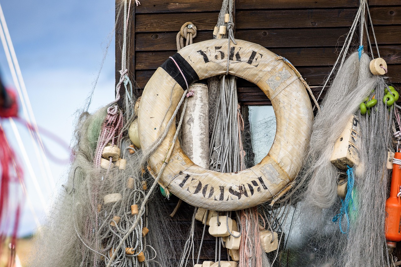 野草云实名账号：网上购买草药平台