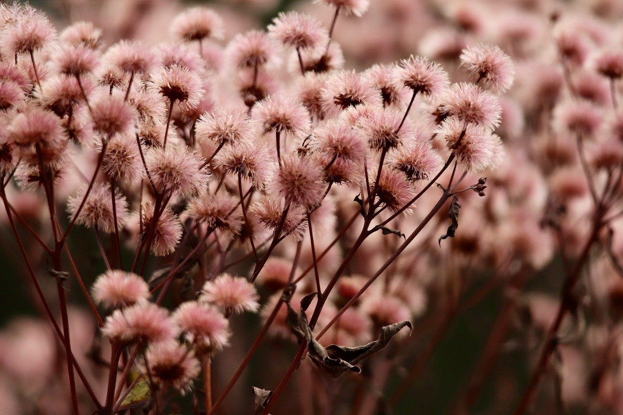 安检证app详情下载教程